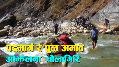  धौलागिरि पदमार्ग पुग्न गाँजकै सहारा [भिडियो रिपोर्ट] 