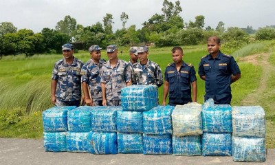  बाँसघारीमा भेटियो ४ क्विन्टल गाँजा 