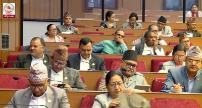  राष्ट्रिय सभा : ‘नीति तथा कार्यक्रममाथि सत्ता पक्षको समर्थन, विपक्षीको आलोचना’ 