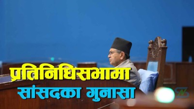  प्रतिनिधिसभा : शून्य समयमा कसले के भने ? 