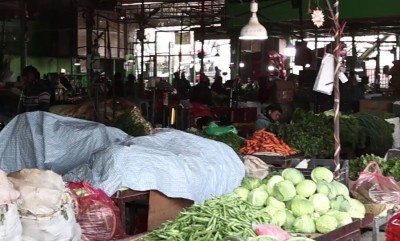  बल्खुको तरकारी बजारमा २० प्रतिशत मात्र विषादी, विभाग भन्छ- खानयोग्य छ 