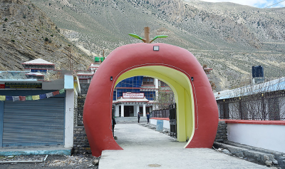  मुस्ताङमा स्याउ आकृतिको प्रवेशद्वार निर्माण  