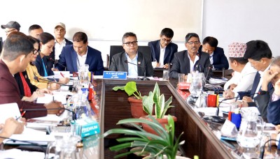  कर प्रशासन पुनःसंरचना र भ्याट प्रणाली सुधार गर्न अर्थविद्को सुझाव 