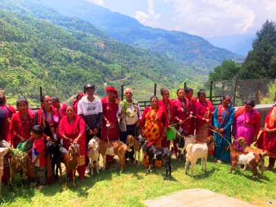  किसानका आयआर्जनमा सघाउन ‘बाख्रा उपहार’ 