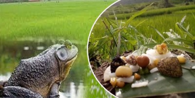  भक्तपुरका नेवार समुदायको परम्परा 