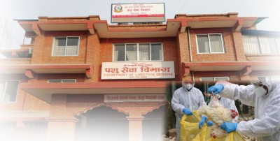  उपत्यकामा बर्डफ्लु सङ्क्रमण फैलन नदिन प्राविधिक टोली परिचालन 
