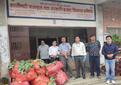  कालीमाटीमा भित्रिएका तरकारीमा विषादीको मात्रा अधिक 
