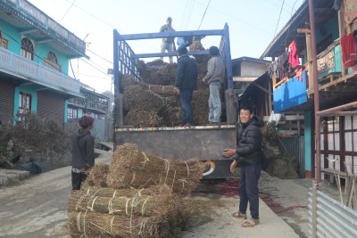  चिराइतो बिक्री नहुँदा  किसान चिन्तित 