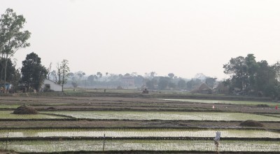  नवलपरासीका किसानलाई चैते धान रोप्न भ्याइनभ्याइ 