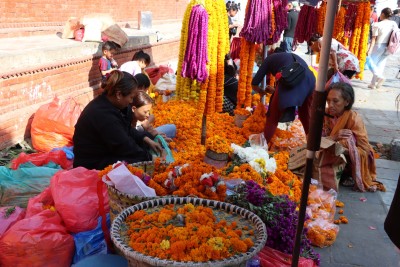  फुल व्यापारीहरुको व्यापार कस्तो छ ?(भिडियोसहित) 