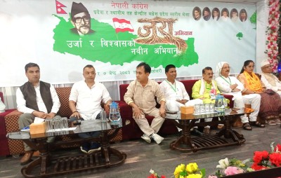  मधेस प्रदेशमा नेपाली कांग्रेस नेतृत्वकै सरकार रहन्छ : सभापति थापा 