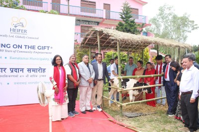  कोरियाले नेपाललाई दिएका गाईका बाछी सिन्धुलीका स्थानीयलाई हस्तान्तरण  