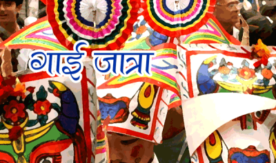  आज गाईजात्रा पर्व: देशभर विभिन्न कार्यक्रम गरी मनाइँदै  