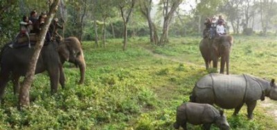  कोसी टप्पुमा पर्यटकको सङ्ख्या वृद्धि 