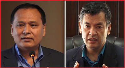  हितेन्द्रदेव शाक्यलाई विद्युत् प्राधिकरणको कार्यकारी निर्देशकबाट हटाइयो 