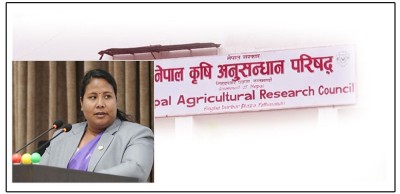  नार्कका दुई कर्मचारीलाई मन्त्री चौधरीले गरिन् बर्खास्त 