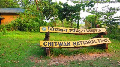  हात्तीको आक्रमणबाट माउते जग्दुको मृत्यु 