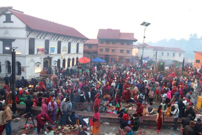  पितृका नाममा शतबीज छरियो 
