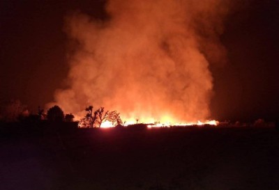  दाङमा गए रातिदेखि प्लाई उद्योगमा आगलागी, निभाउने प्रयास जारी 