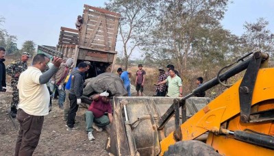  चितवनमा गैँडा स्थानान्तरणको काम सकियो 