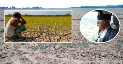  सुक्खाग्रस्त मधेसमा बेलायती संस्थाले सहयोग गर्ने 