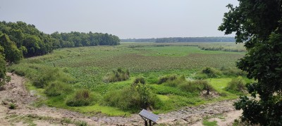  सुक्न थाले शुक्लाफाँटा निकुञ्जका तालहरु,संरक्षणमा ध्यान दिईएन 