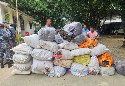  सशस्त्र प्रहरी बलद्वारा रौतहटमा ३० बोरा सुर्ती बरामद 