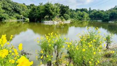  जलवायु परिवर्तनको असर : बढ्दो गर्मीले विश्वका तालमा अक्सिजनको स्तर घट्दो 