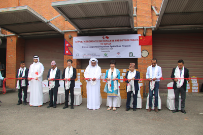  नेपालमा उत्पादन गरिएको तरकारी कतार निर्यात गर्न सुरु 