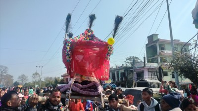  आधुनिकतासँगै सङ्कटमा पर्‍यो राना थारु समुदायको डोली चन्डोल बोक्ने परम्परा 