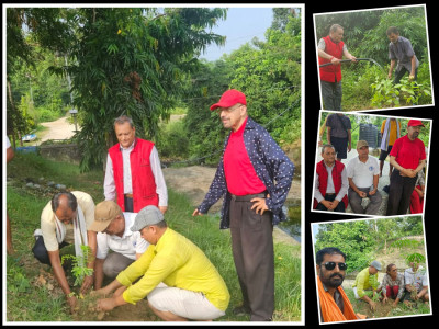  बाबाताल संरक्षणका लागि वृक्षरोपण, चुरे संरक्षणमा जोड 