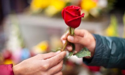  आज प्रणय दिवस, नेपालसहित विश्वभर एक आपसमा प्रेम साटासाट गरेर मनाइँदै 