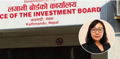  लगानी बोर्डको सिइओमा याङ्की उक्याव नियुक्त 