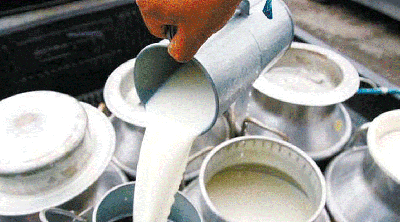  दुग्ध विकास संस्थानका उत्पादन सबै स्थानीय तहमा बिक्री गर्ने व्यवस्था मिलाउन माग 